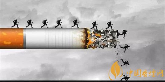 哪些香烟对健康的危害更小 对身体影响较小的香烟推荐