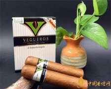 古巴雪茄(威古洛小息小罗伯图)价格表图 威古洛小息多少钱