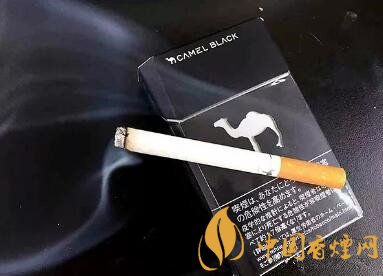 日本黑骆驼香烟口感分析及包装欣赏