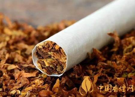 香烟的起源在哪里香烟的由来与用途分析-香烟网