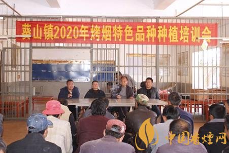 云南师宗县举办2020年烤烟特色品种种植培训！